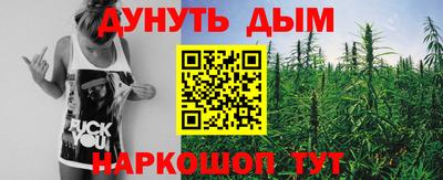 mdpv Заводоуковск