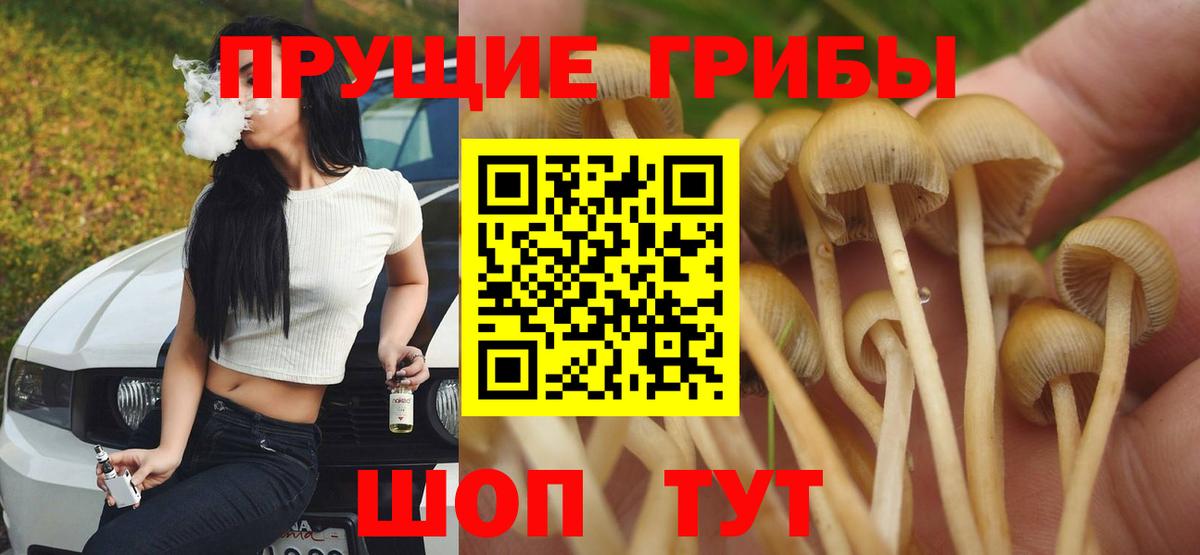 Златоуст  Галлюциногенные грибы мухоморы  Вход с VPN 